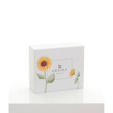 GIFT SET-MICRO SUNFLOWER II