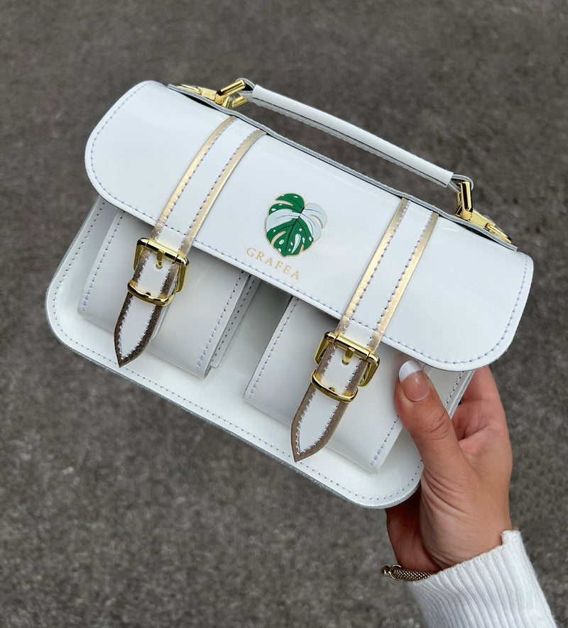 MICRO MONSTERA ALBO