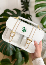 MICRO MONSTERA ALBO